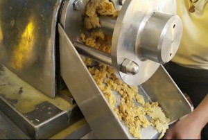 Cửa ra bã gừng sau khi ép bằng máy ép củ gừng công nghiệp